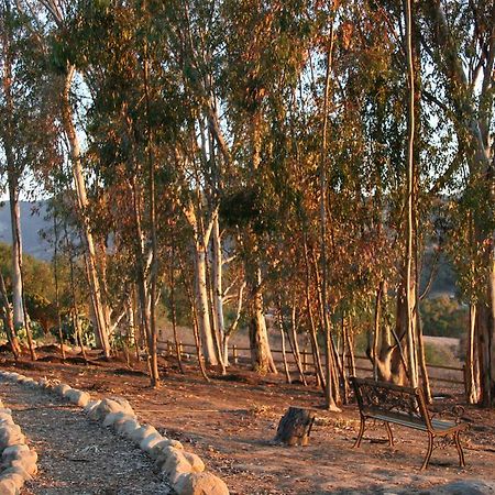 Ojai Retreat & Inn Екстериор снимка
